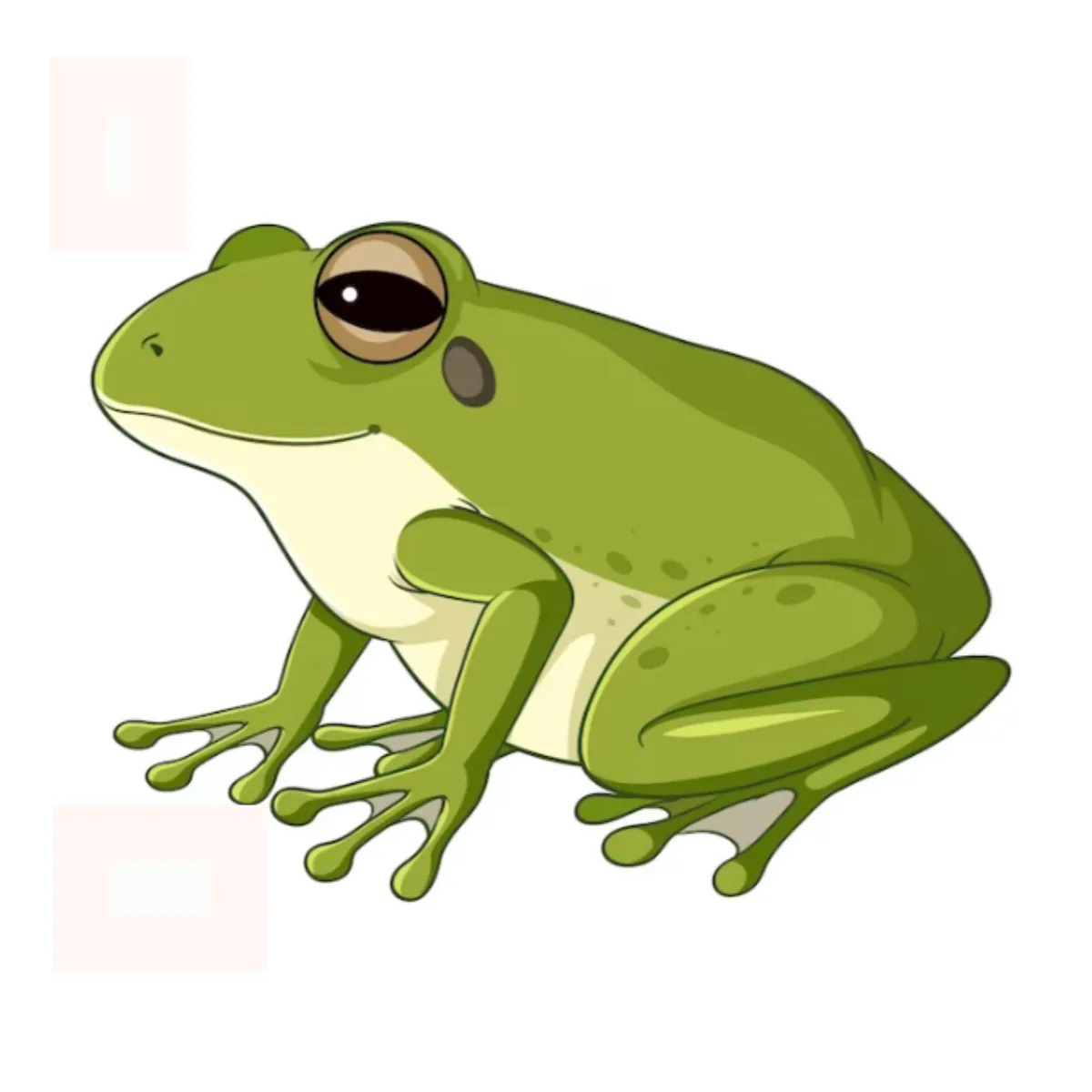 Colored Pictures — Mindsight Journey training module